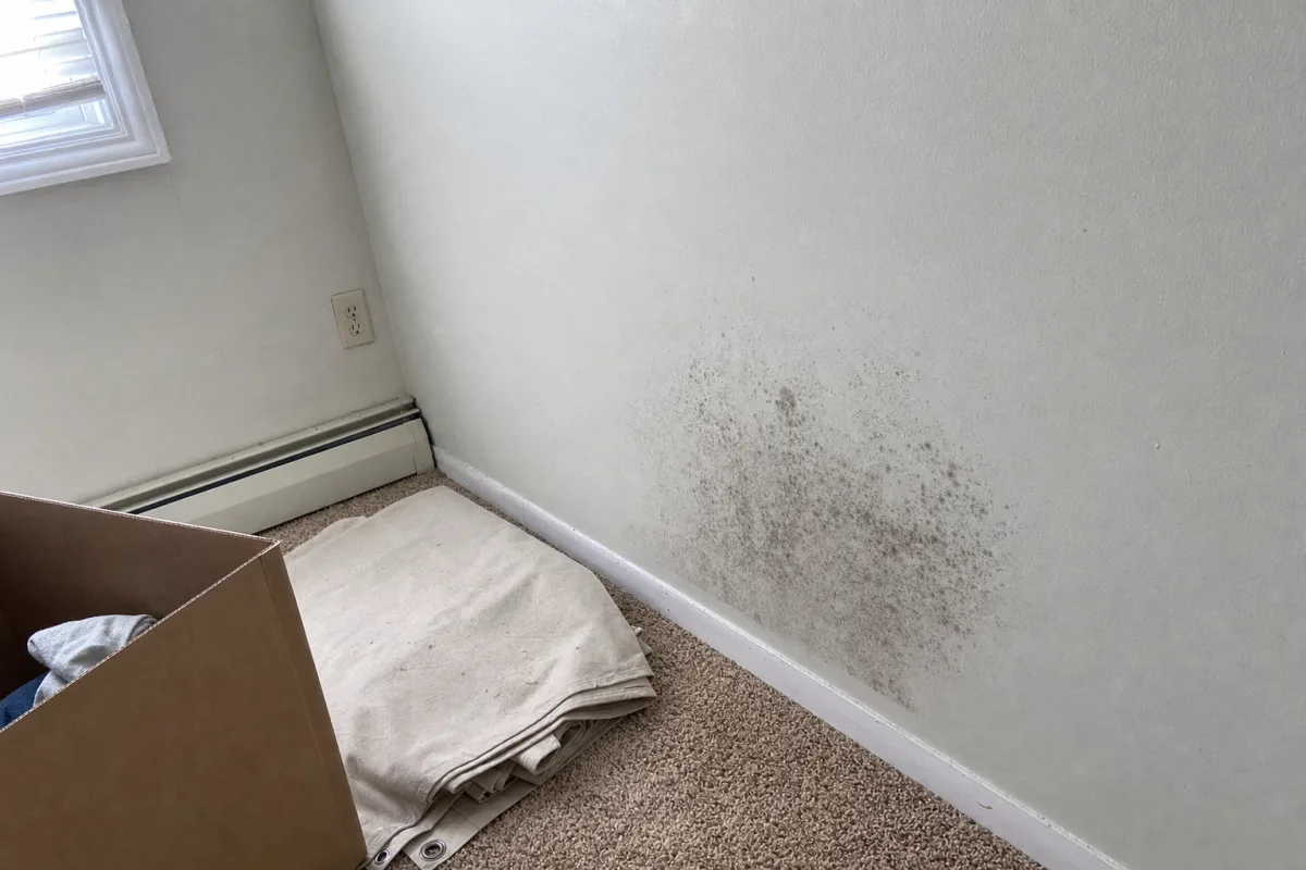 Visible mold on a bedroom wall in a maintained home.