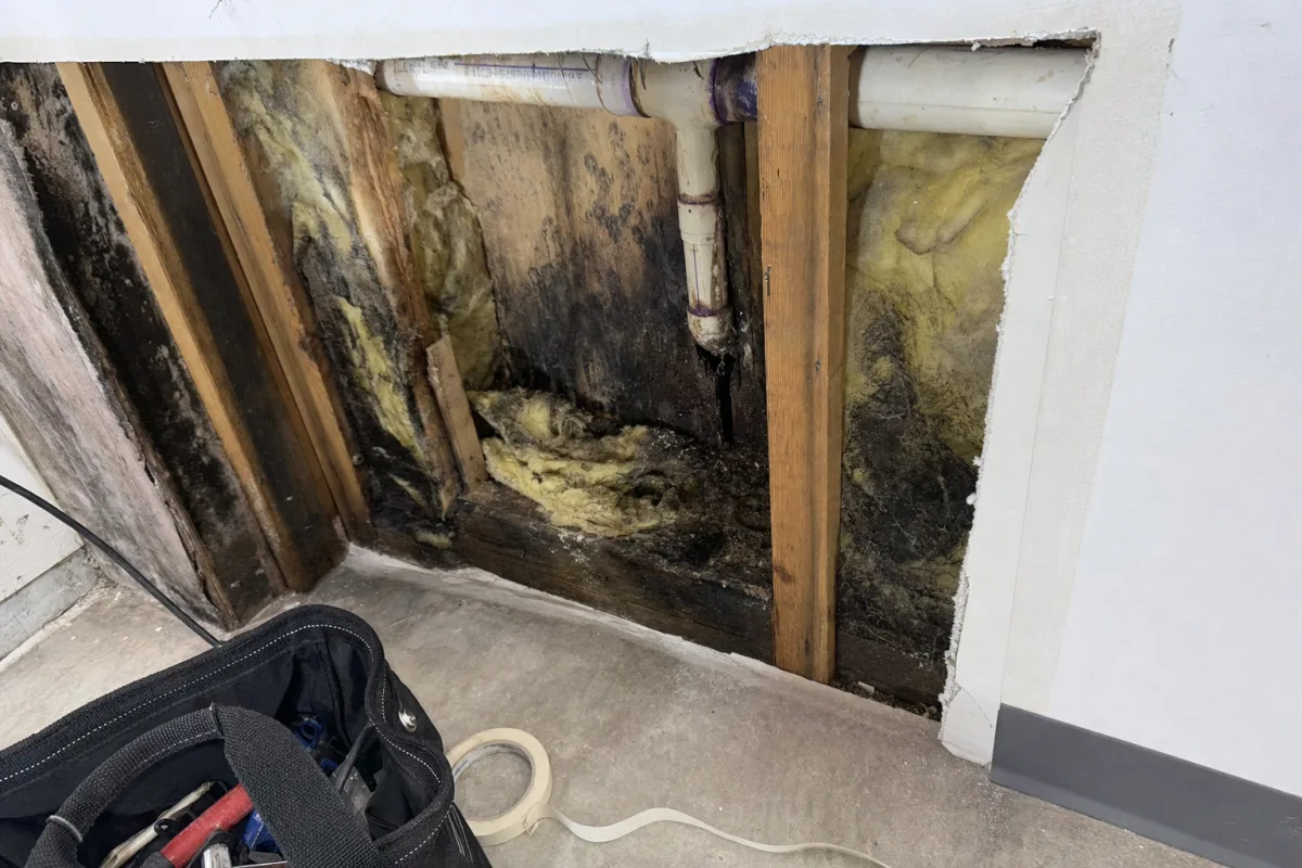 A wall opening reveals mold affected material and a pipe.