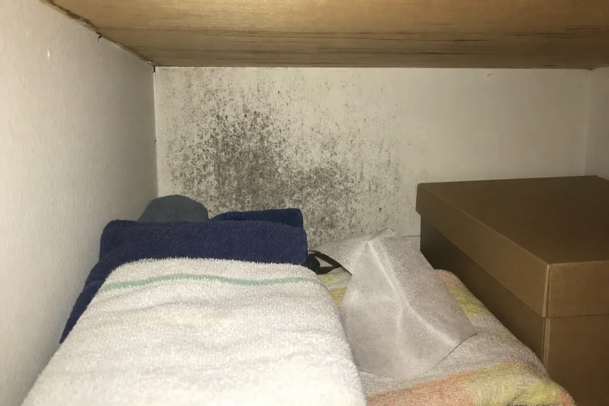 Visible mold at the back of a linen cupboard.