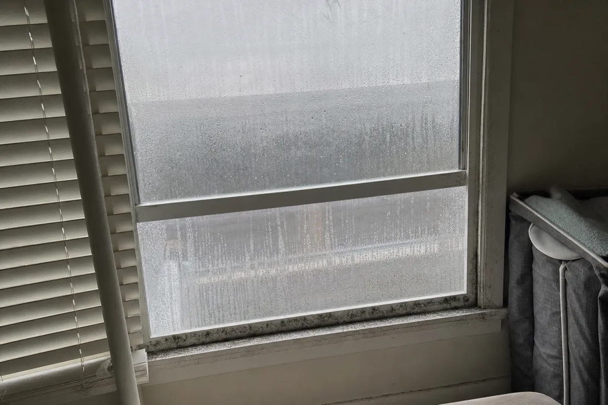 Condensation and a mold line on a window frame.