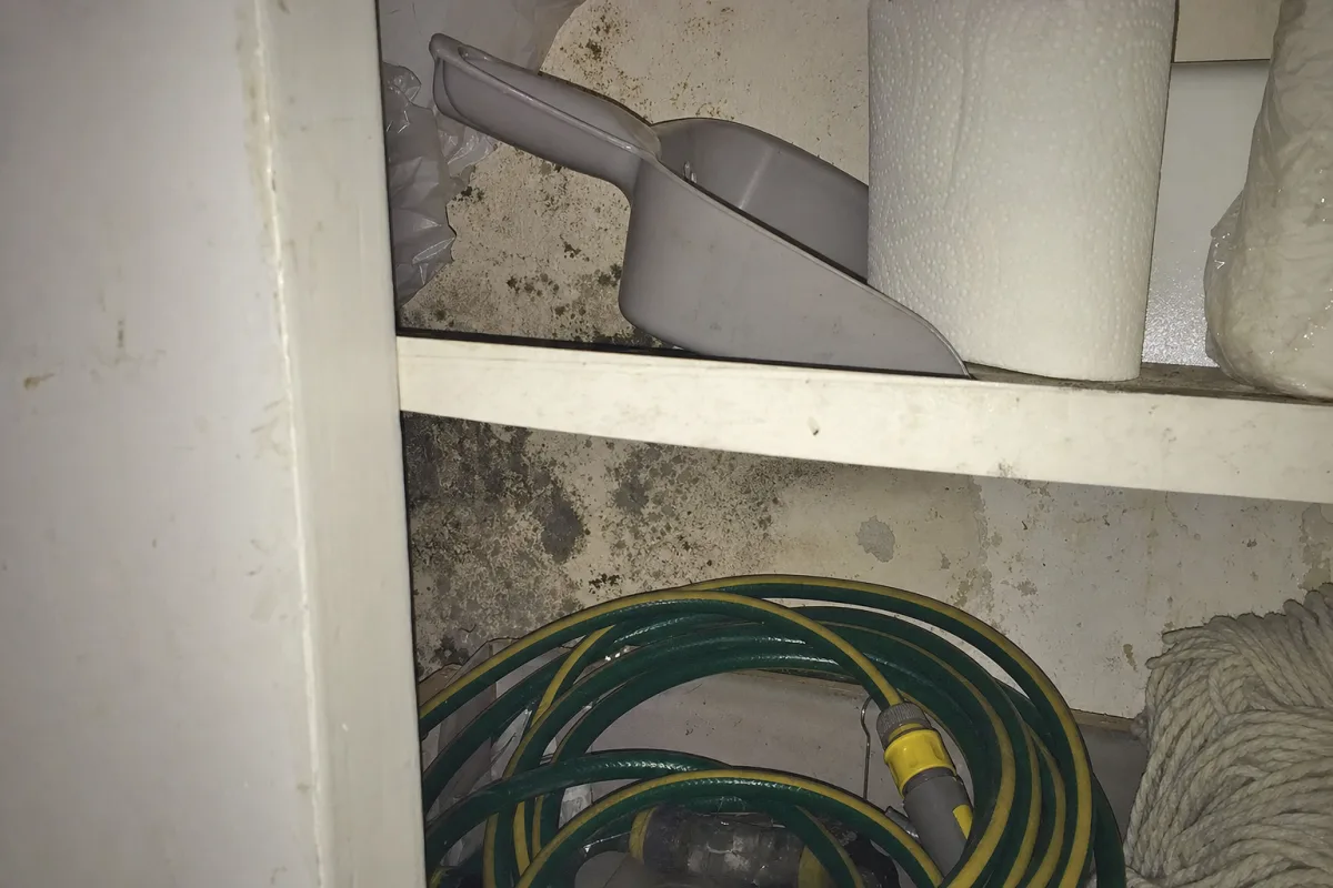 Mold and dampness in a utility cupboard.
