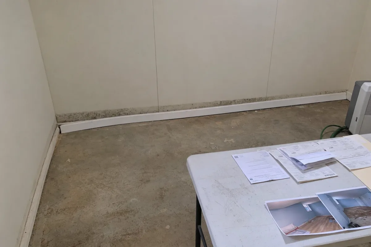 A repaired basement with flood records and visible mold.