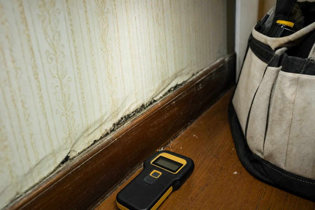 A moisture meter beside a wall that may hide mold.