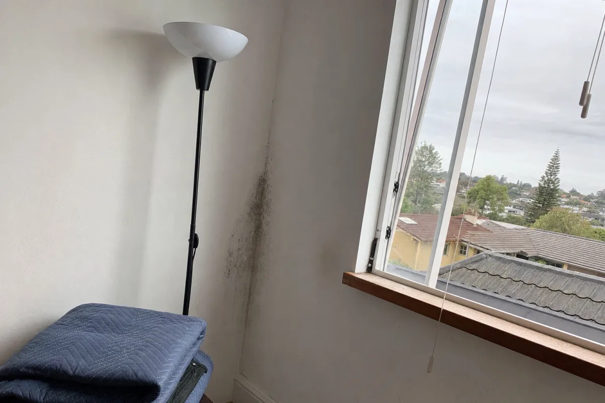 A maintained room with an open window and visible mold.