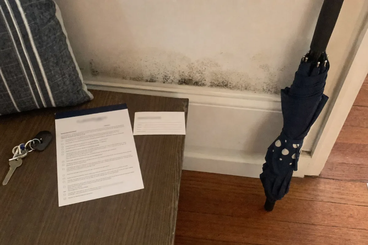 A medical reminder and property checklist beside a mold photo.